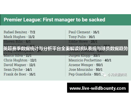 英超赛季数据统计与分析平台全面解读球队表现与球员数据趋势