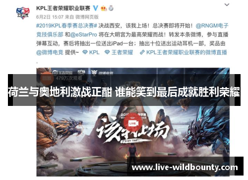 荷兰与奥地利激战正酣 谁能笑到最后成就胜利荣耀