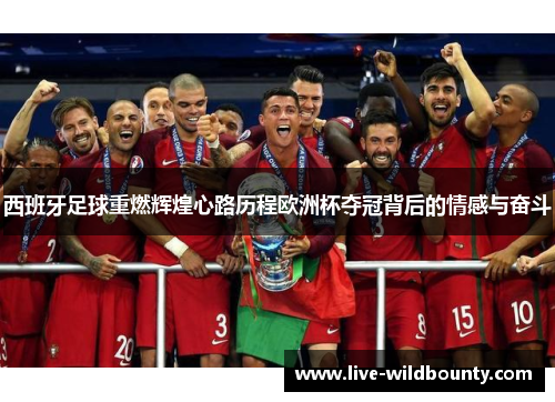 西班牙足球重燃辉煌心路历程欧洲杯夺冠背后的情感与奋斗