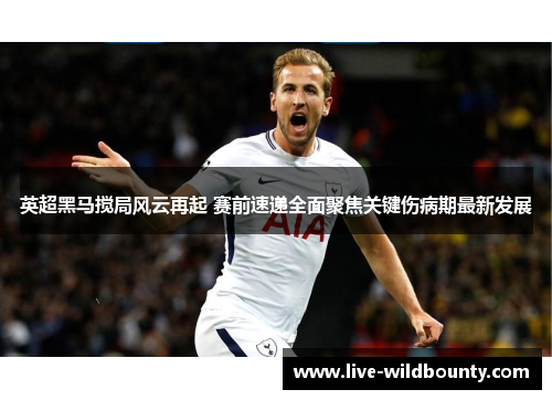英超黑马搅局风云再起 赛前速递全面聚焦关键伤病期最新发展