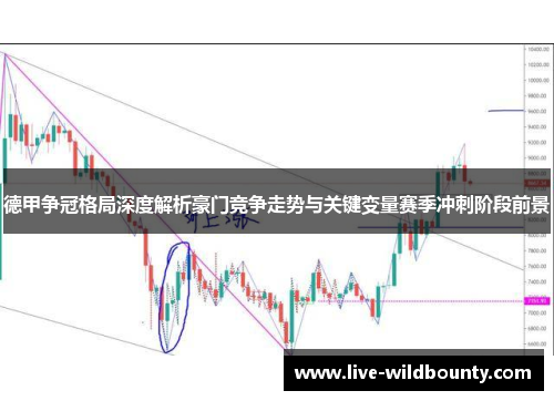 德甲争冠格局深度解析豪门竞争走势与关键变量赛季冲刺阶段前景