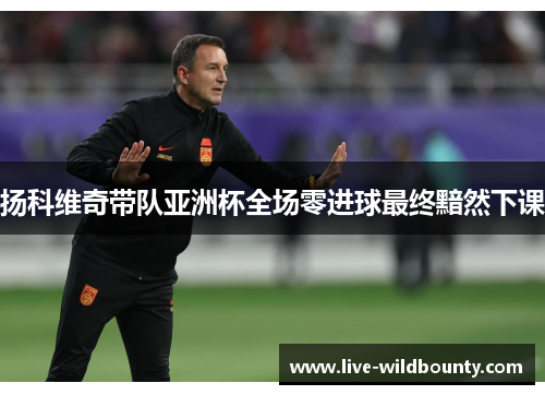 扬科维奇带队亚洲杯全场零进球最终黯然下课